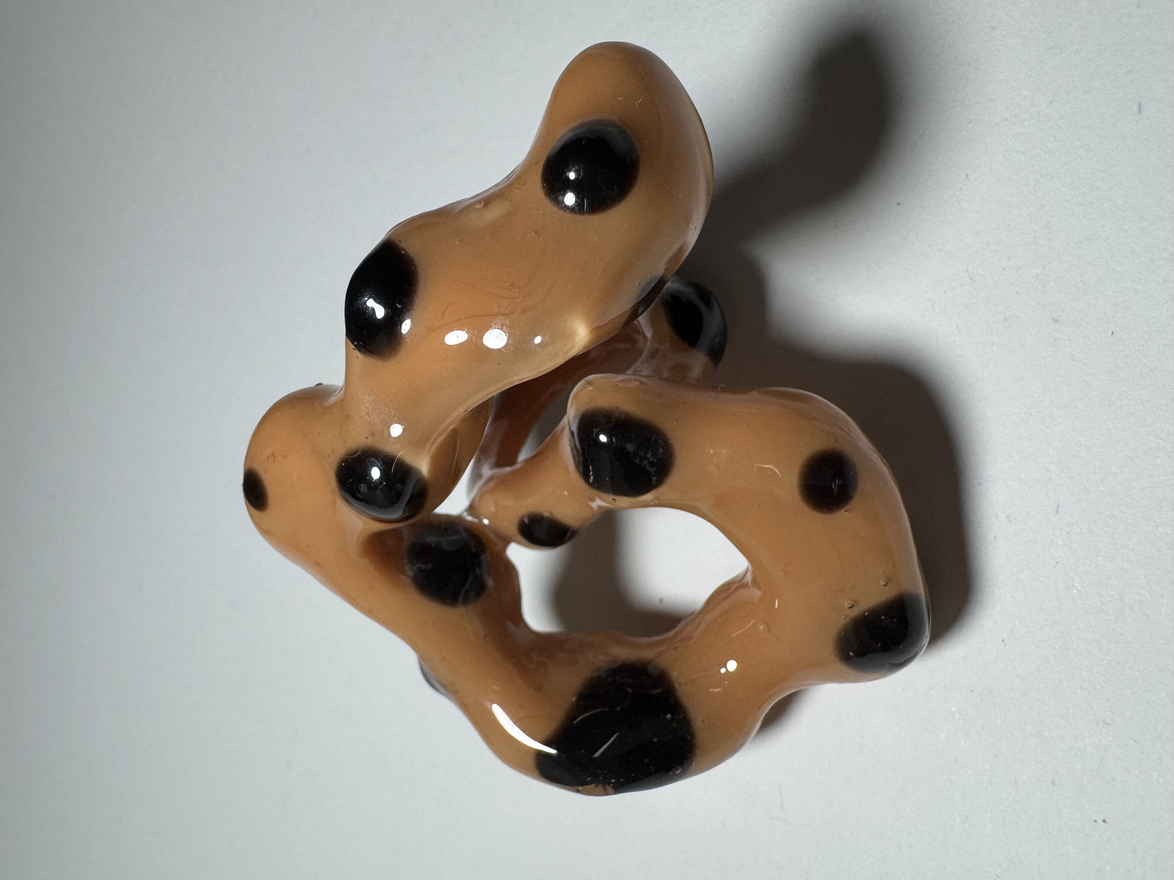 Lepidóptera ring  — foto 1