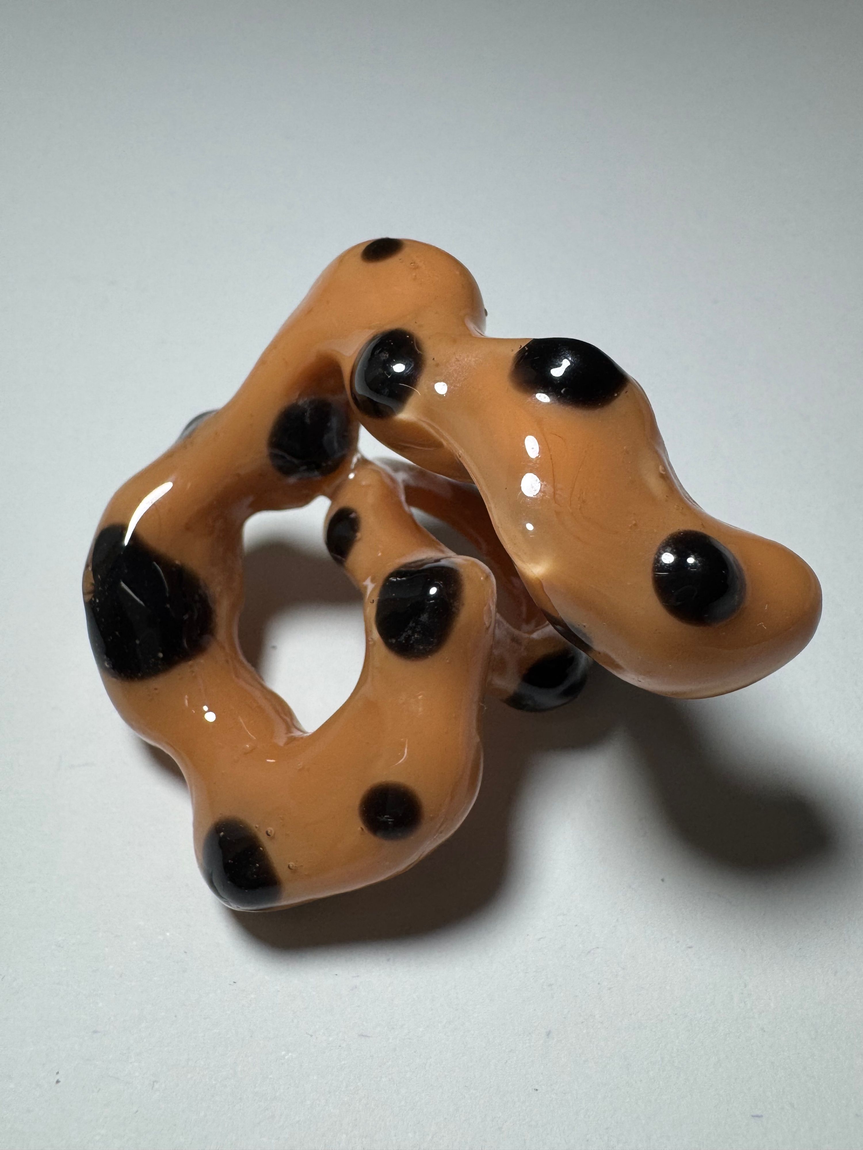 Lepidóptera ring  — foto 1