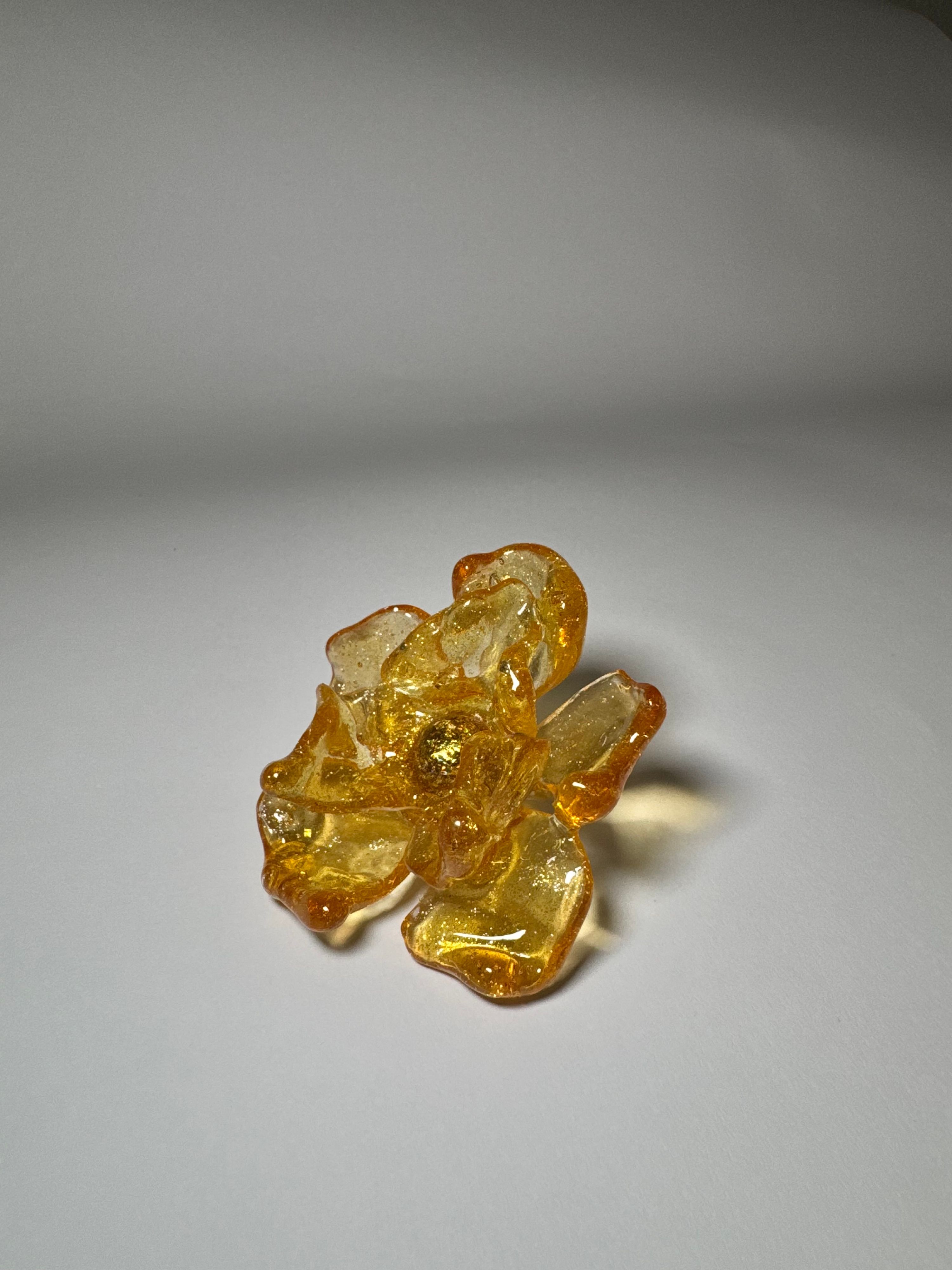 Lágrima de sol  5